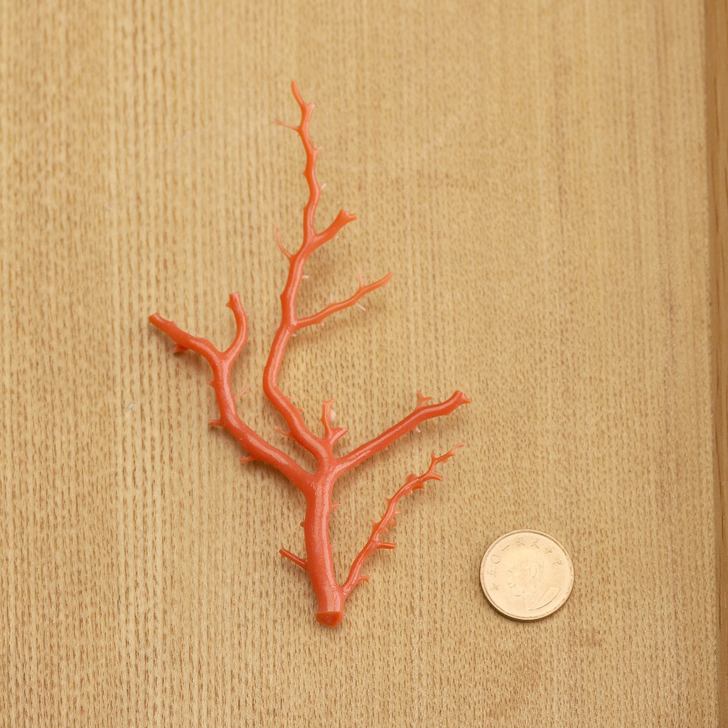桃色珊瑚 天然樹枝 珊瑚樹 完整珊瑚 未拼接 紅珊瑚 供佛 相框 佈置