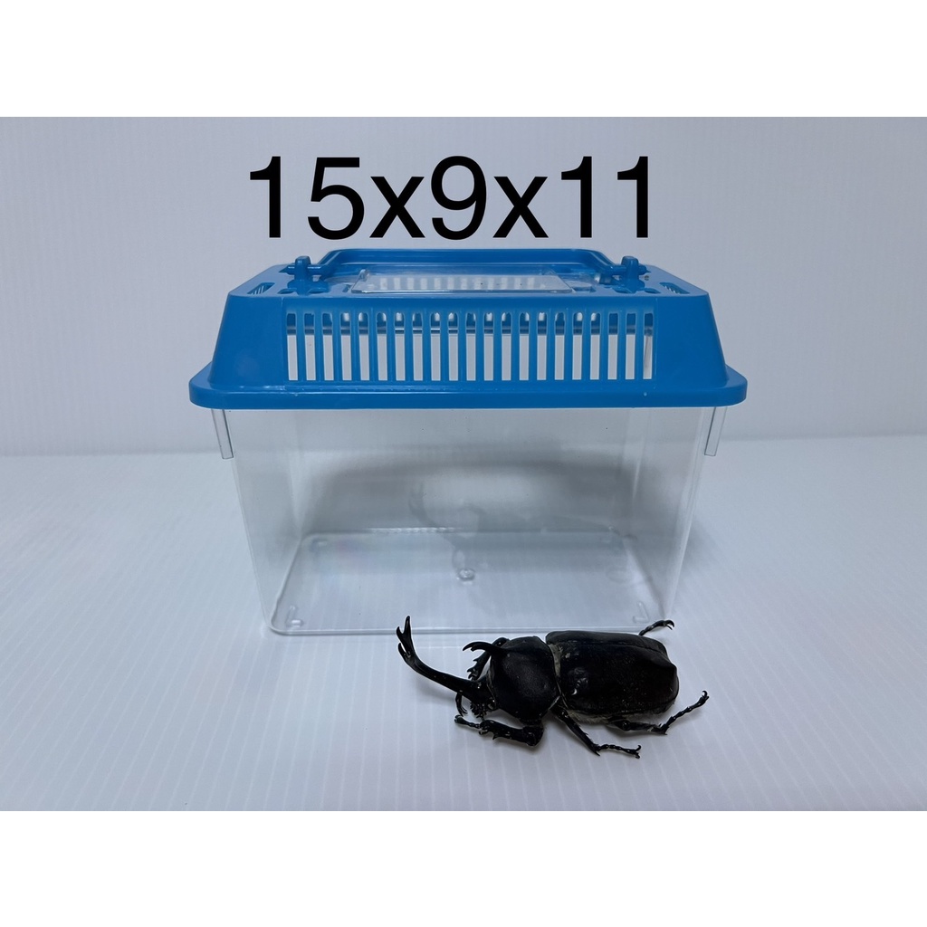 超便宜高CP  飼養箱 手提飼養箱 昆蟲箱 爬蟲箱 飼養盒 手提盒 小魚缸 塑膠盒 鬥魚盒 角蛙盒 角蛙飼養箱 烏龜盒