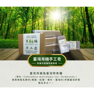 臺灣肖楠手工皂【可檸生活】草本 檜木精油 雪松精油 臺灣製 現貨 快速出貨 天然 冷製皂 香皂 肥皂 沐浴 洗澡 清潔