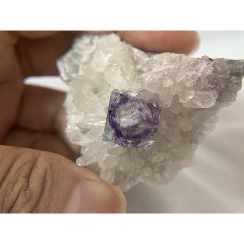 ［讓藏］瑤崗仙 螢石 藍紫色立方體 青花瓷 共生白水晶簇 小晶簇