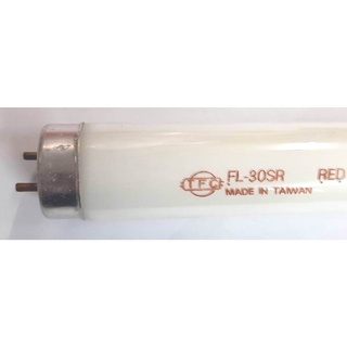 旭光 傳統 T8 紅色燈管 長度 2尺 3尺 4尺