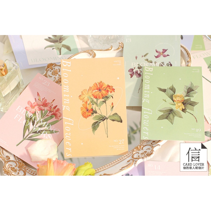 【豌豆星球】(現貨) 信的戀人 在花枝繁茂時相見 明信片質感植物復古花朵花卉ig風裝飾卡片 盒裝30張入