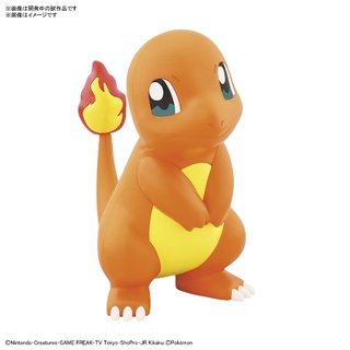 【BANDAI】組裝模型 Pokemon PLAMO 收藏集 快組版 11 小火龍 公司貨【99模玩】