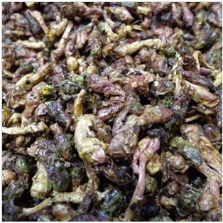 熱銷新品中藥材蜜炙冬花密制款冬花款冬花茶蜜款冬花500克中草藥 蝦皮購物