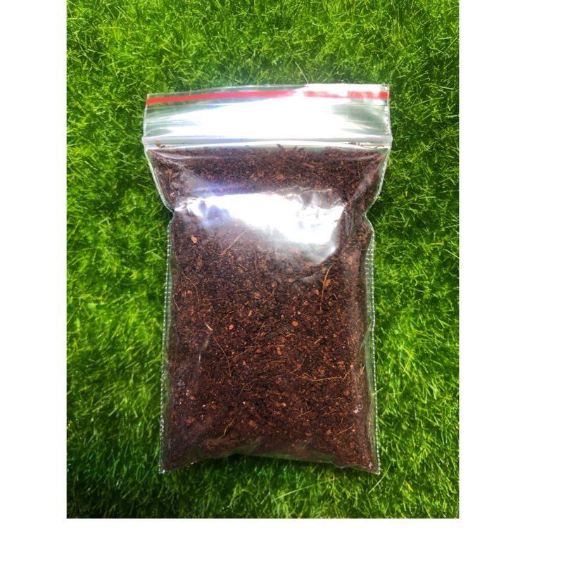 椰纖土  10g 「螞蟻飼養用」