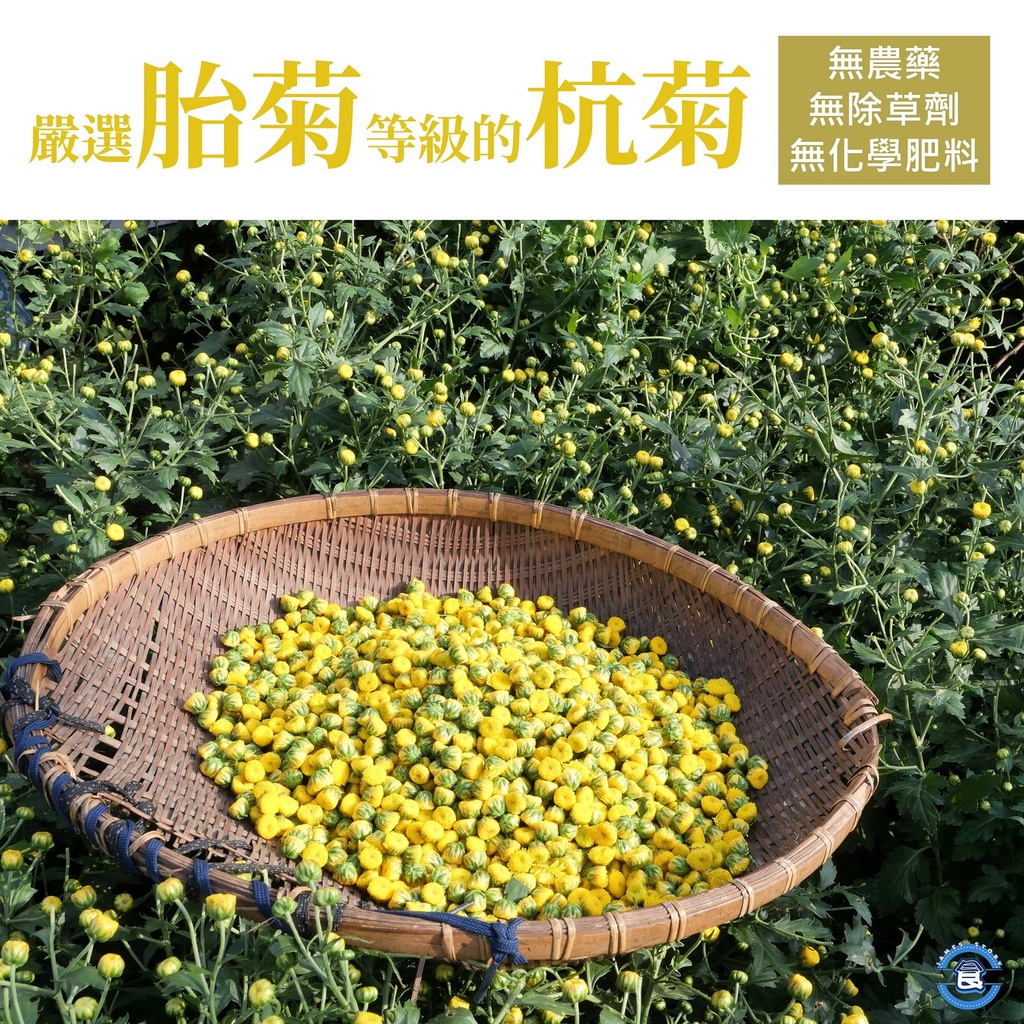 嚴選高品質台灣🇹🇼栽種 無農藥 杭菊 胎菊 無毒杭菊 自產自銷 黃菊花 菊花茶 乾燥杭菊 乾燥菊花 花草茶 銅鑼杭菊