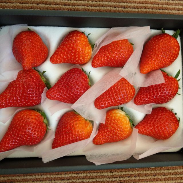 日本草莓.草莓苗.岐阜 華香 華かがり(はなかがり)草莓種子