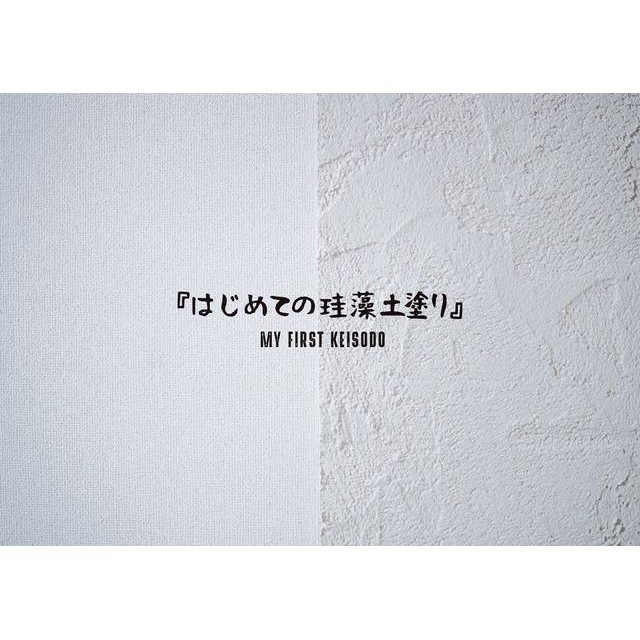 硅藻土diy Ptt Dcard討論與高評價網拍商品 21年9月 飛比價格