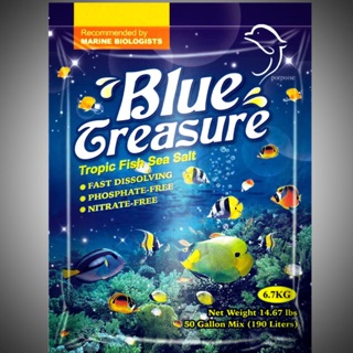 🎉【Blue Greasure】藍色海洋熱帶魚海水素6.7KG（全新）