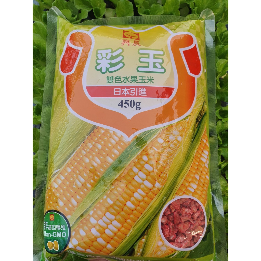 【玉米種子】興農彩玉雙色玉米 日本進口 sweet corn bắp 超甜玉米 450公克 原裝 直接鮮食 口感細緻甘甜