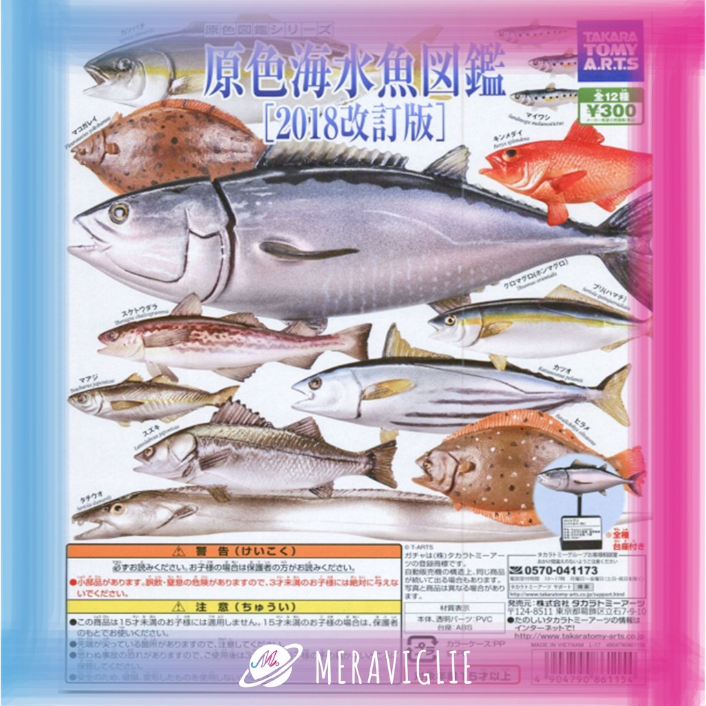 M M小舖 現貨 T Arts 轉蛋扭蛋原色海水魚圖鑑海水魚圖鑑魚類海鮮海洋魚類 蝦皮購物