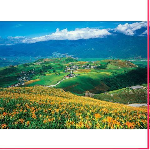 【拼圖下殺價】木質拼圖 300 500 1000片 店配免運 花蓮六十石山金針花海