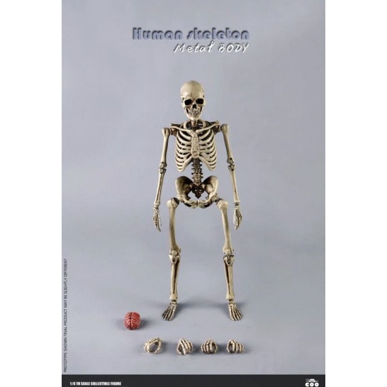 COOMODEL 1/6 骷髏 骨骼 骷髏頭 高可動素體 素體 骷髏素體 合金材質 頭骨可拆卸 非 鋼骨素體