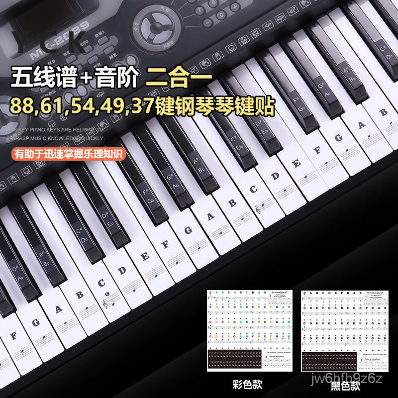 現貨鋼琴音位貼紙 61 54 49鍵盤貼手捲鋼琴鍵貼簡譜電子琴音階貼紙 蝦皮購物