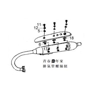 【少年家】SYM 三陽 原廠 B1C 野狼傳奇125RIIEFI 金狼 傳狼R 150 排氣管護片 螺絲組