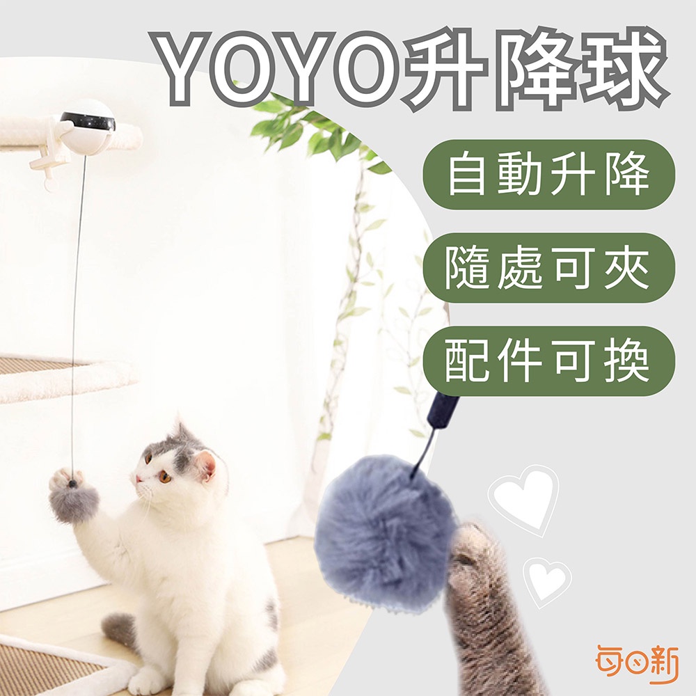 【免運！台灣24H🔥出貨】YOYO升降球 升降電動玩具球 自動逗貓 逗貓玩具 貓咪玩具 貓咪互動玩具 電動逗貓棒