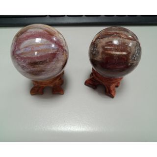 木化玉球 木化石球球 小小の晶礦屋 蝦皮購物