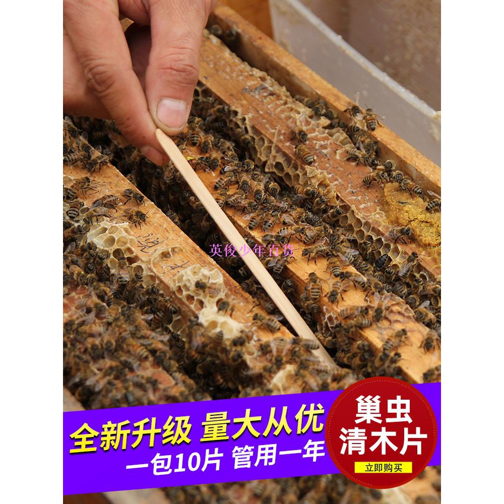 巢蟲清木片蜂箱掛片除白頭蛹綿蟲中蜂蜂具蜜蜂養蜂工具10片裝英俊少年 蝦皮購物