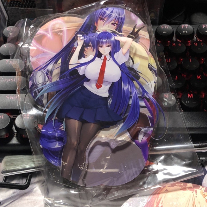 対魔忍アサギ對魔忍淺蔥秋山凜子壓克力牌壓克力僕の凜子は対魔忍 蝦皮購物