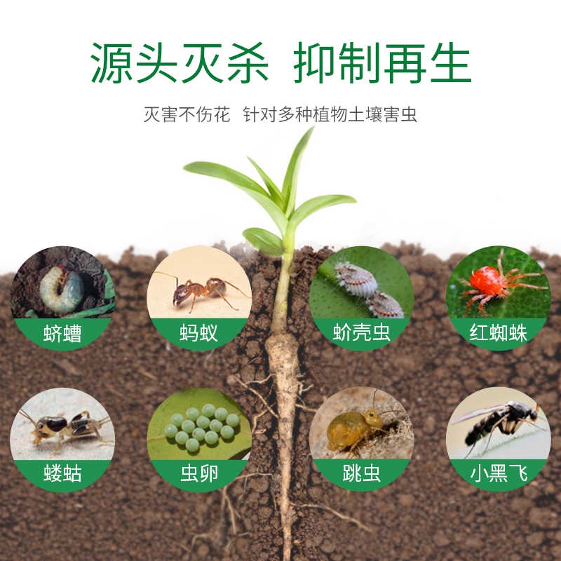 殺蟲花卉土壤杀虫剂植物蚂蚁灭花盆小飞虫除虫剂去绿植花草黑飞盆栽药 蝦皮購物