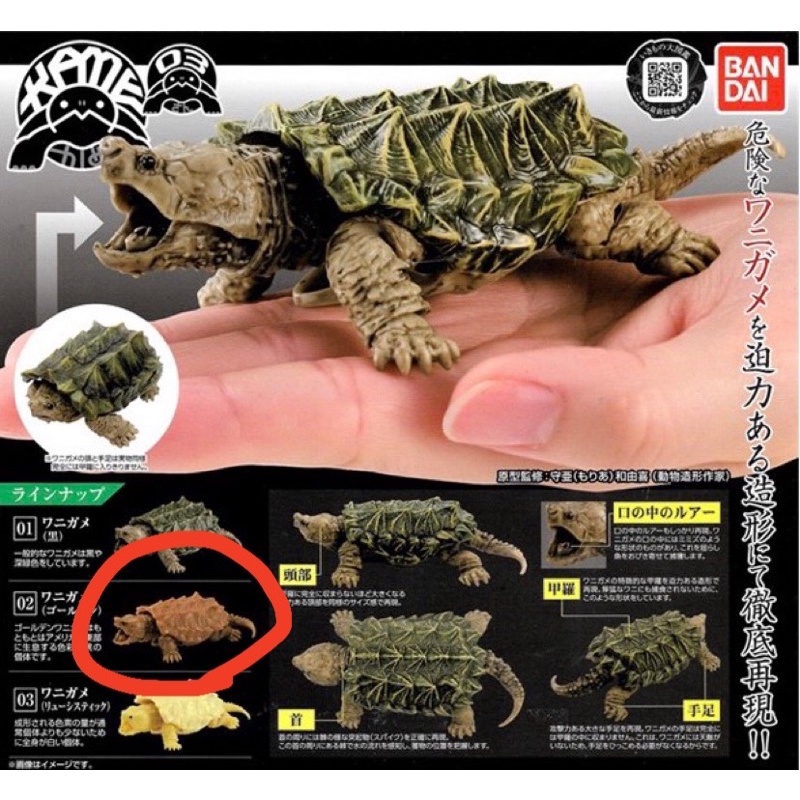 鱷龜 環保扭蛋 可動 萬代