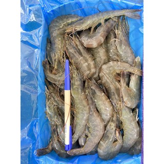 【勝藍】南美白蝦850g40/50.50/60規格/冷凍生白蝦/南美大白蝦