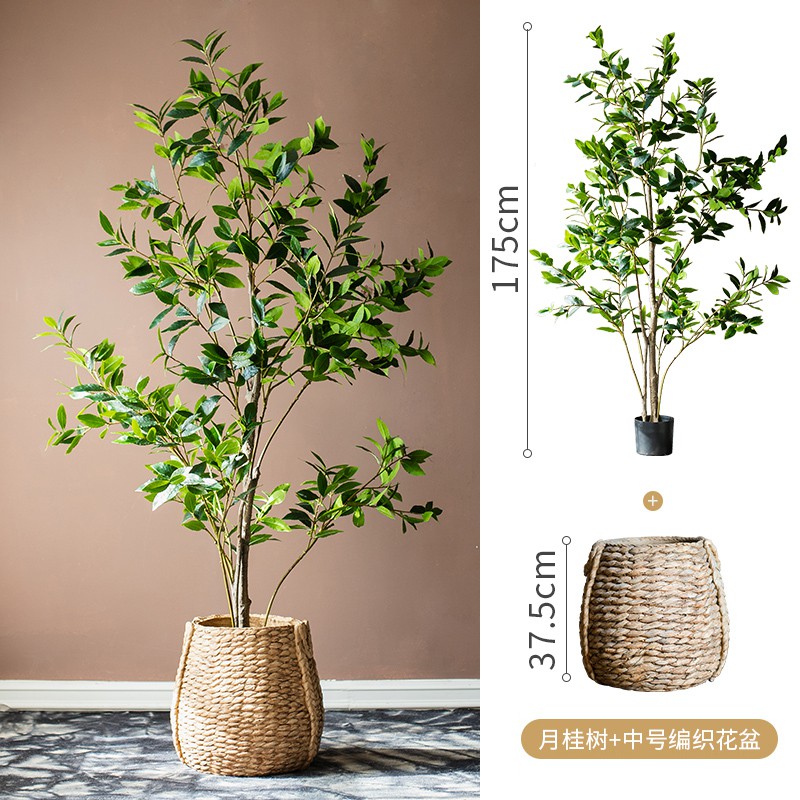 月桂樹大型仿真植物綠植盆栽客廳盆景ins風樣板房裝飾擺件 蝦皮購物