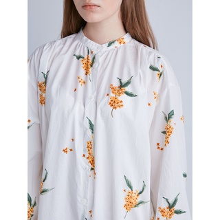 金木犀 優惠推薦 22年3月 蝦皮購物台灣