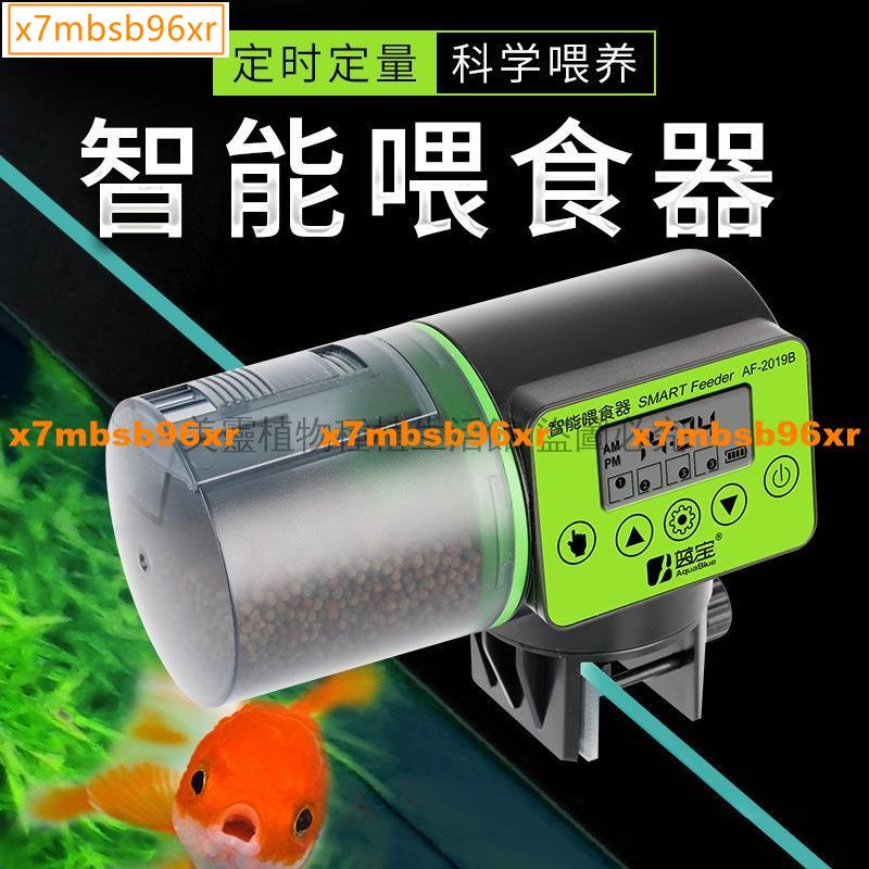 大容量自動餵魚器 飛比價格 22年1月ptt與dcard推薦網拍商品