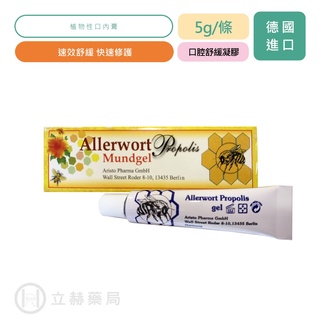 Allerwort 愛樂活口腔舒緩凝膠 5g/條 植物性 快速修護公司貨【立赫藥局】