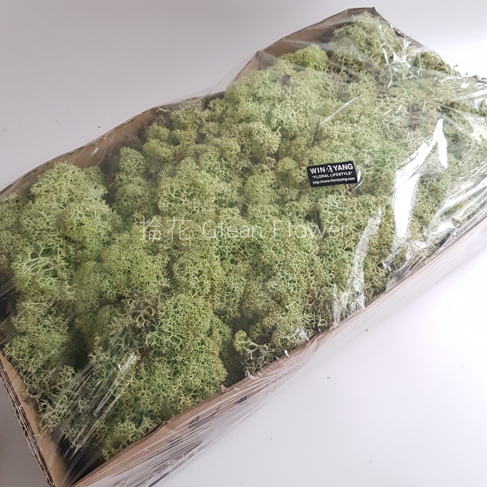 拾花 花藝裝飾資材挪威馴鹿水草moss 166 原裝大盒 蝦皮購物
