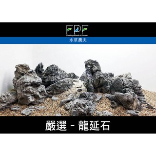 松紋石 虎皮石 青龍石 木化石 造景石 無隨機出貨 需線上挑石 蝦皮購物