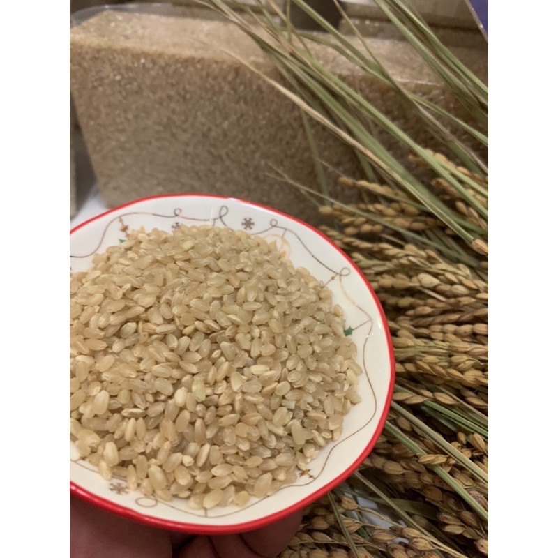 糙米 池上米自產自銷