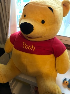 迪士尼正版小熊維尼娃娃(我愛迪士尼絨毛玩具)