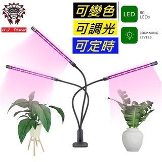 Led多肉植物燈的價格推薦 21年11月 比價撿便宜