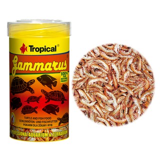 現貨 波蘭Tropical德比克 高蛋白乾蝦飼料 100ml/250ml 乾燥蝦 烏龜飼料 乾蝦