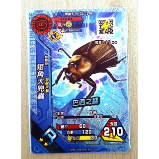 *閃卡* 【 甲蟲王者 第七彈 】 二星 R 甲蟲卡 《 短角大兜蟲 》 巴西之謎 S1-14T 現貨🎉