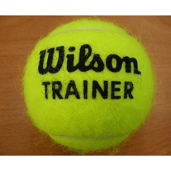 (台同運動活力館) Wilson 練習級網球 網球 練習球 無壓球