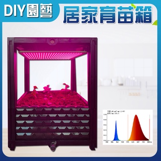 【君沛植物生長燈】室內植物生長 有機蔬菜生 育苗專用 50瓦 紅藍混光 植物燈生長箱 有機種植