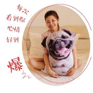 ☆模擬小狗抱枕/午安枕/美腿枕70公分/生日禮物/聖誕節/午安枕/靠墊/靠腰/另有蝦仁枕