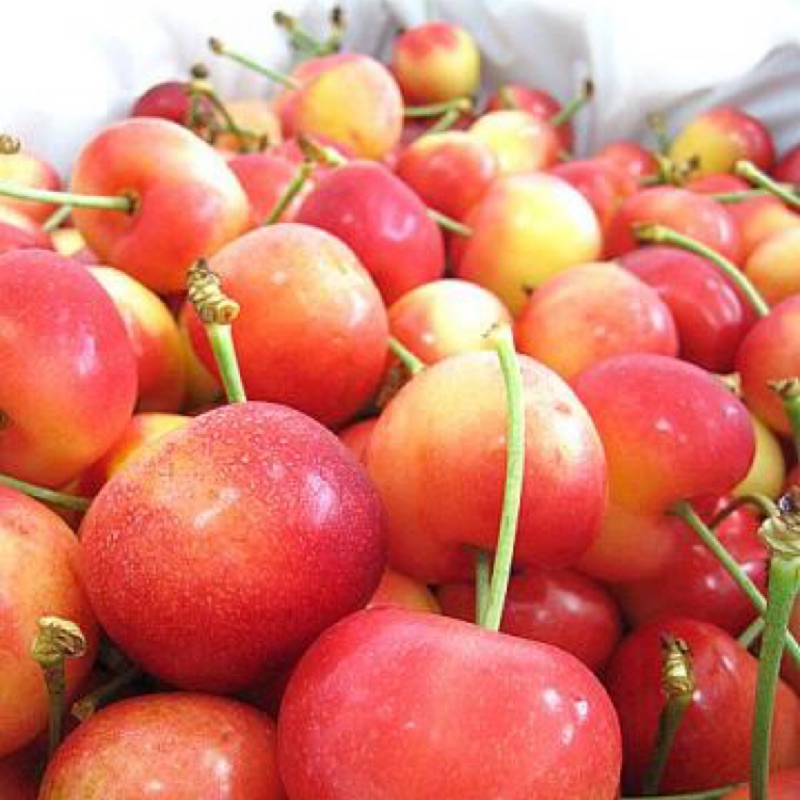 加州白櫻桃 Ptt Dcard討論與高評價網拍商品 2021年11月 飛比價格