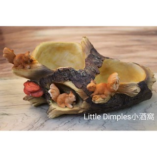 Little Dimples小酒窩- 小松鼠多肉盆栽