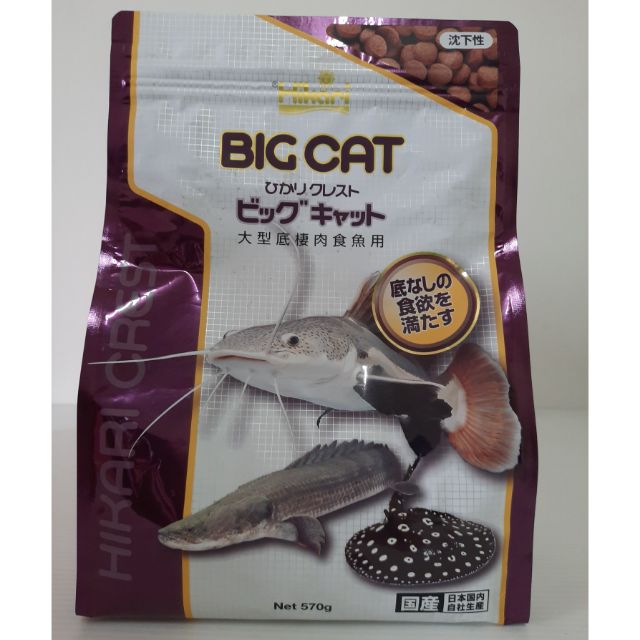 日本hikari 高夠力大型肉食性底棲魚沈水性 蝦皮購物