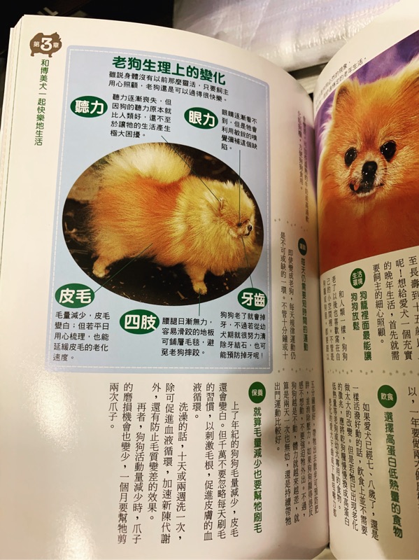 二手書籍博美柴犬寵物飼養近全新每本100 蝦皮購物