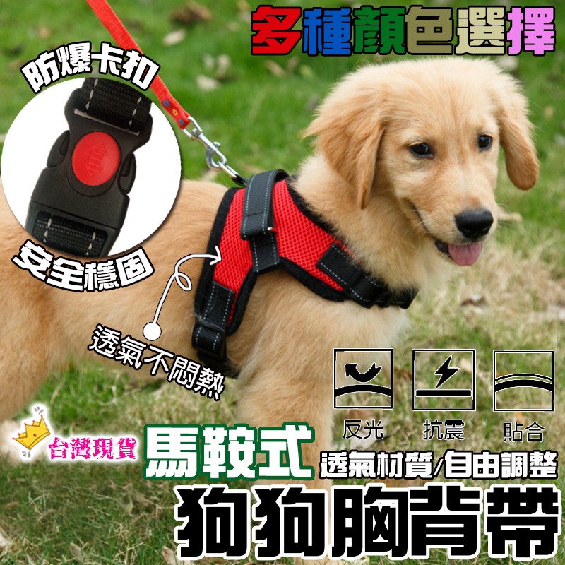 Baseball Green 高級犬用リードと首輪セット（小型犬 中型犬） 【公式