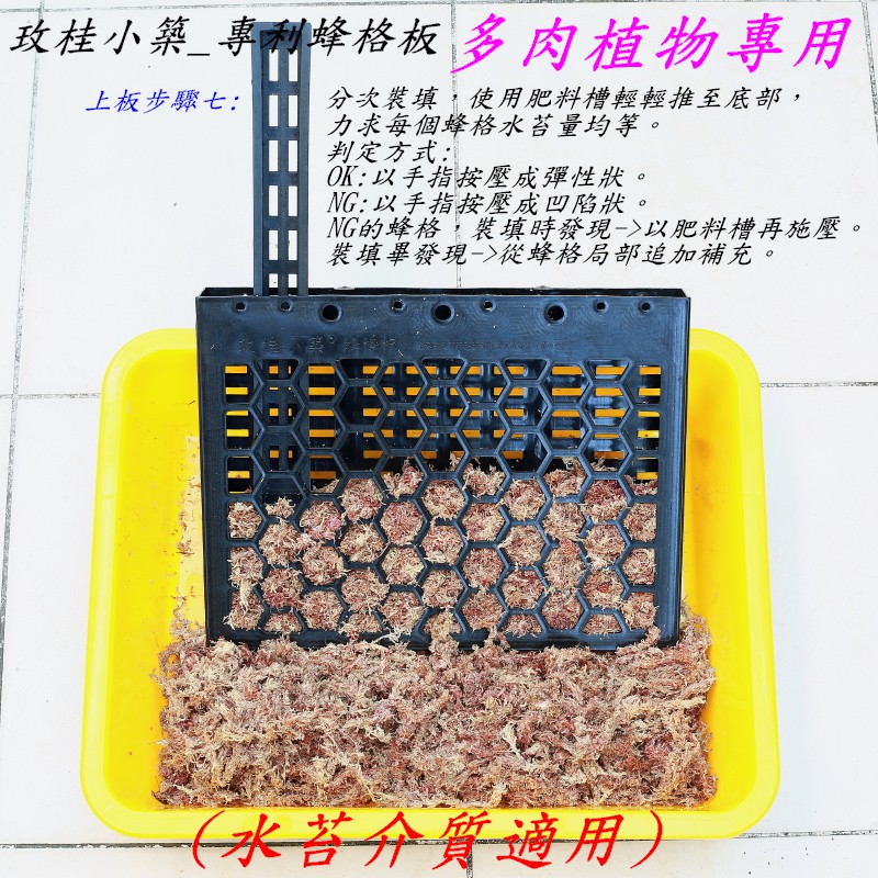 玫桂小築 專利蜂格板 多肉專用 空板 水苔介質適用 7吋多肉組盆多肉上板壁掛拼盆 蝦皮購物