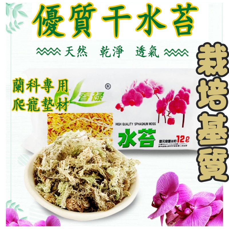 乾燥水苔ptt與dcard推薦網拍商品 22年1月 飛比價格