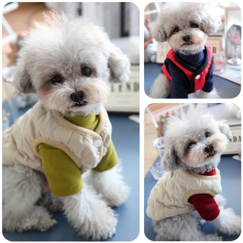 彩虹夢 寵物比熊博美雪納瑞小型犬小狗泰迪狗狗衣服秋冬裝冬裝兩腳衣馬甲 蝦皮購物