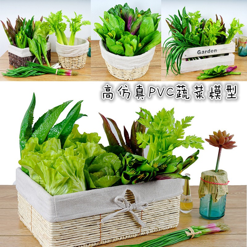 仿真蔬菜道具生菜芹菜菜心花模型櫥窗展示PVC高仿蔬菜模型蒜苗道