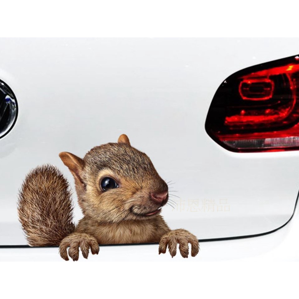 沛恩精品 創意個性3D立體松鼠汽車貼紙 可愛搞怪松鼠貼 個性車貼 車尾貼 適用HONDA CRV FIT HRV